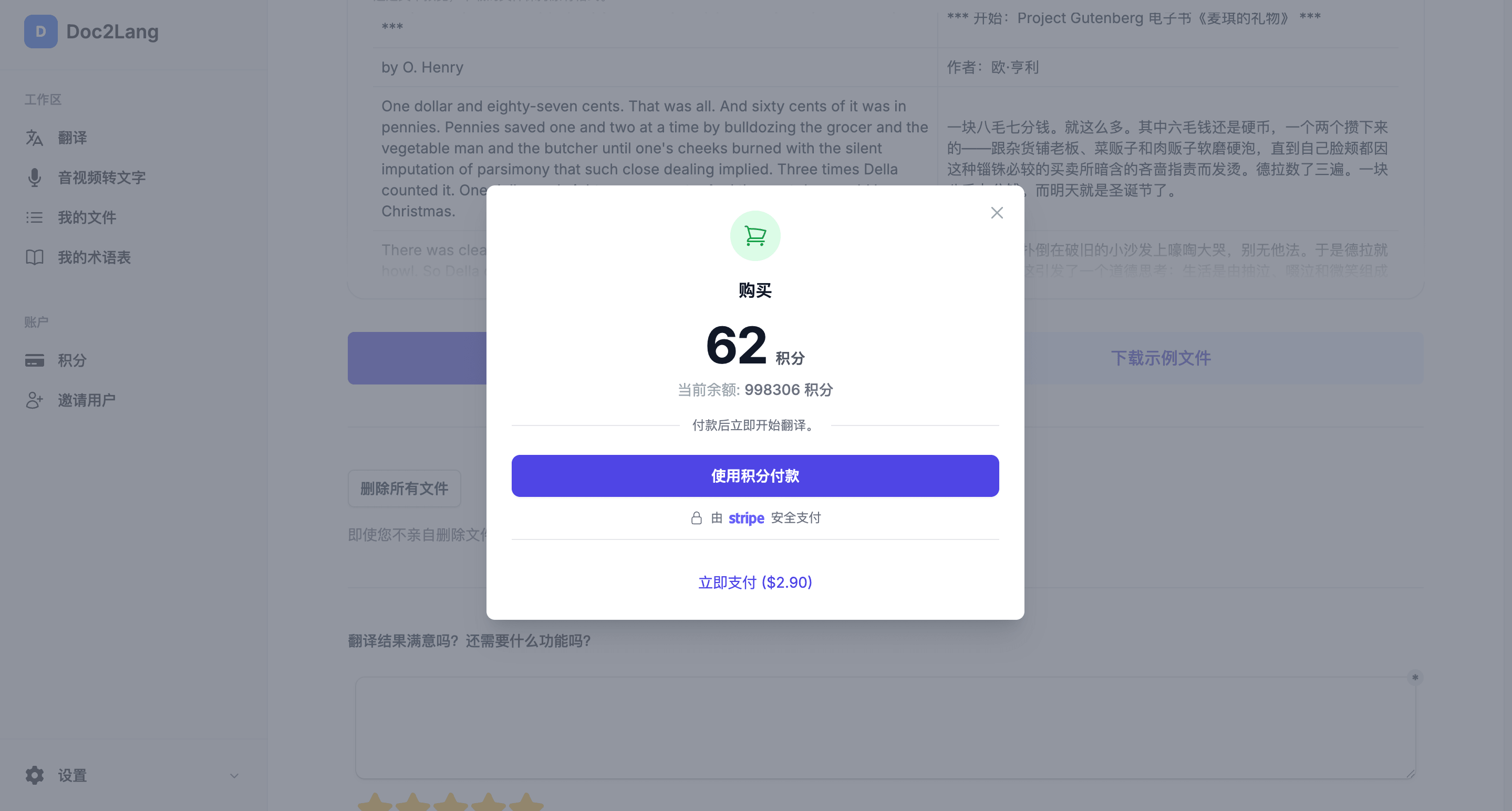 翻译开始前的付款界面，显示所需积分与金额，通过 Stripe 完成支付