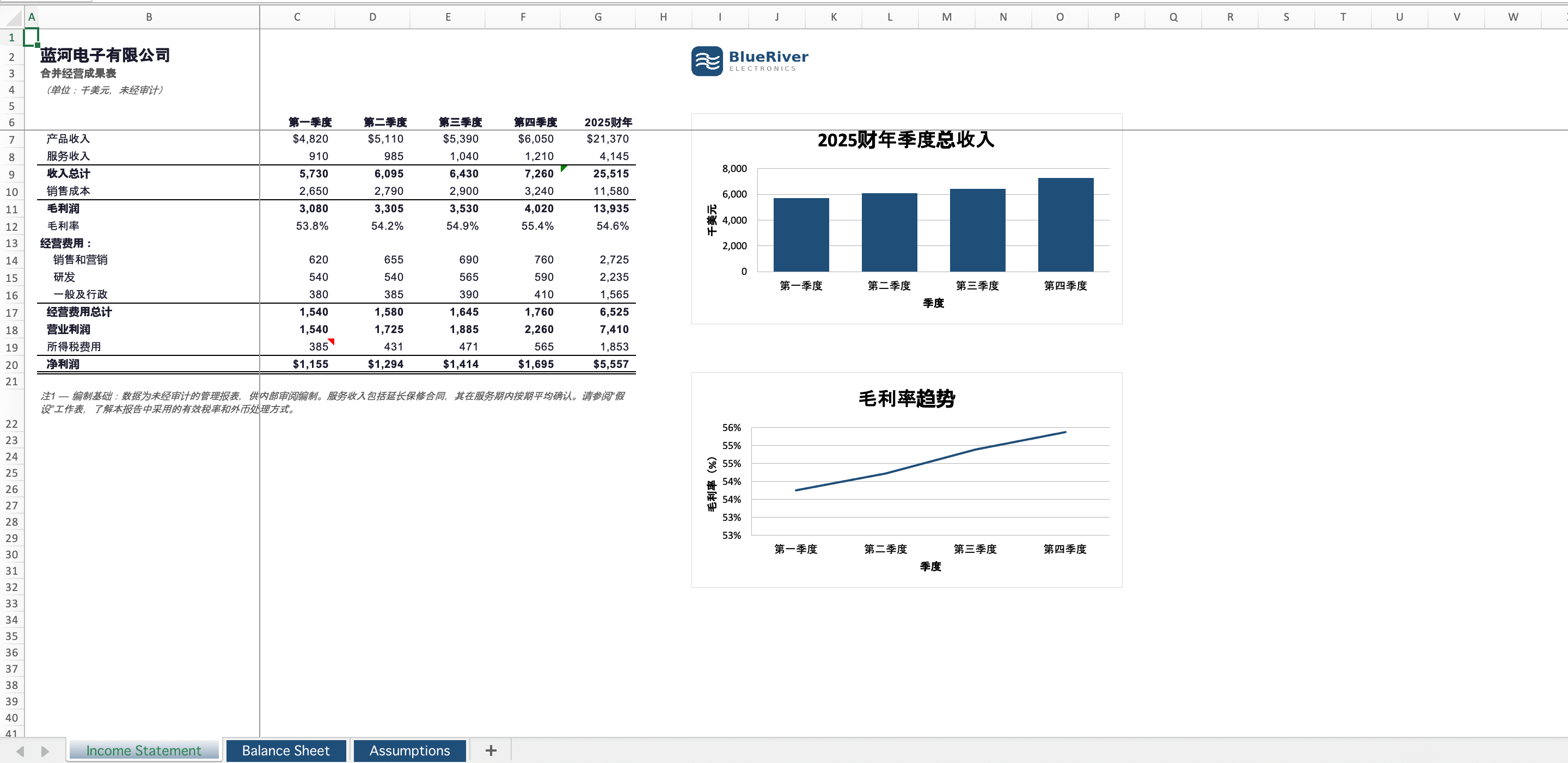 由 Doc2Lang 从英文翻译成中文、完整保留图表与格式的财务报表