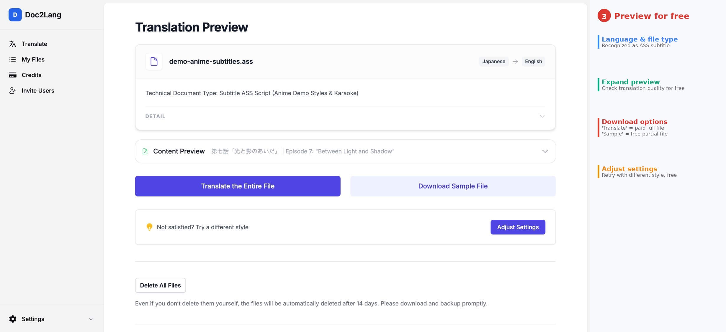 Step 3: The Translation Preview page with download options and content preview