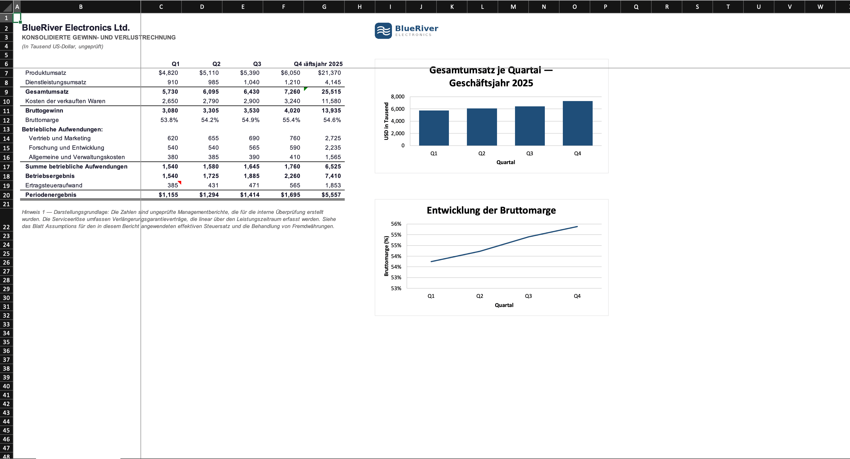 Konsolidierte Gewinn- und Verlustrechnung ins Deutsche übersetzt, Diagramme und Formeln in Excel erhalten